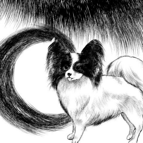 長毛サムネ2